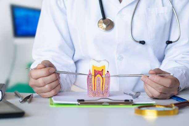 Best Emergency Dentist for Knocked-Out Tooth in Upper Greenwood Lake, NJ